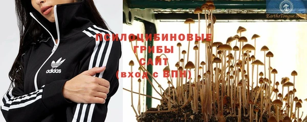 PSILOCYBIN Лихославль