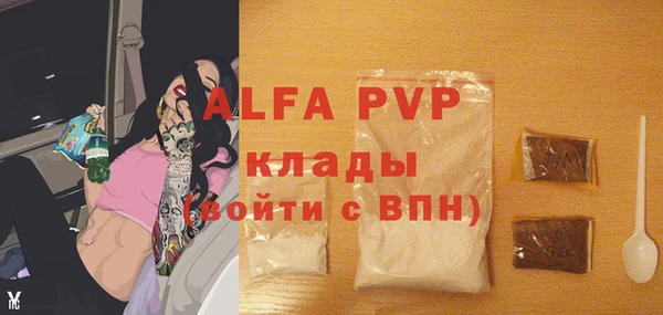 PSILOCYBIN Лихославль
