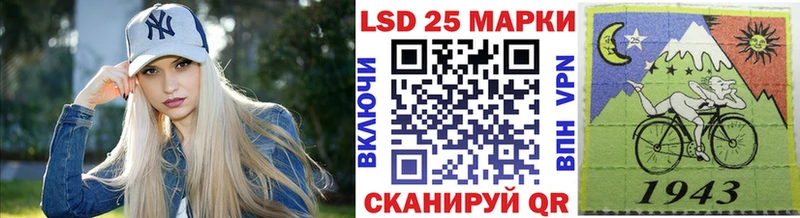 Марки N-bome 1500мкг  ссылка на мегу зеркало  Бакал 